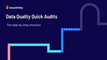 Data Quality Quick Audits checklist.pptx